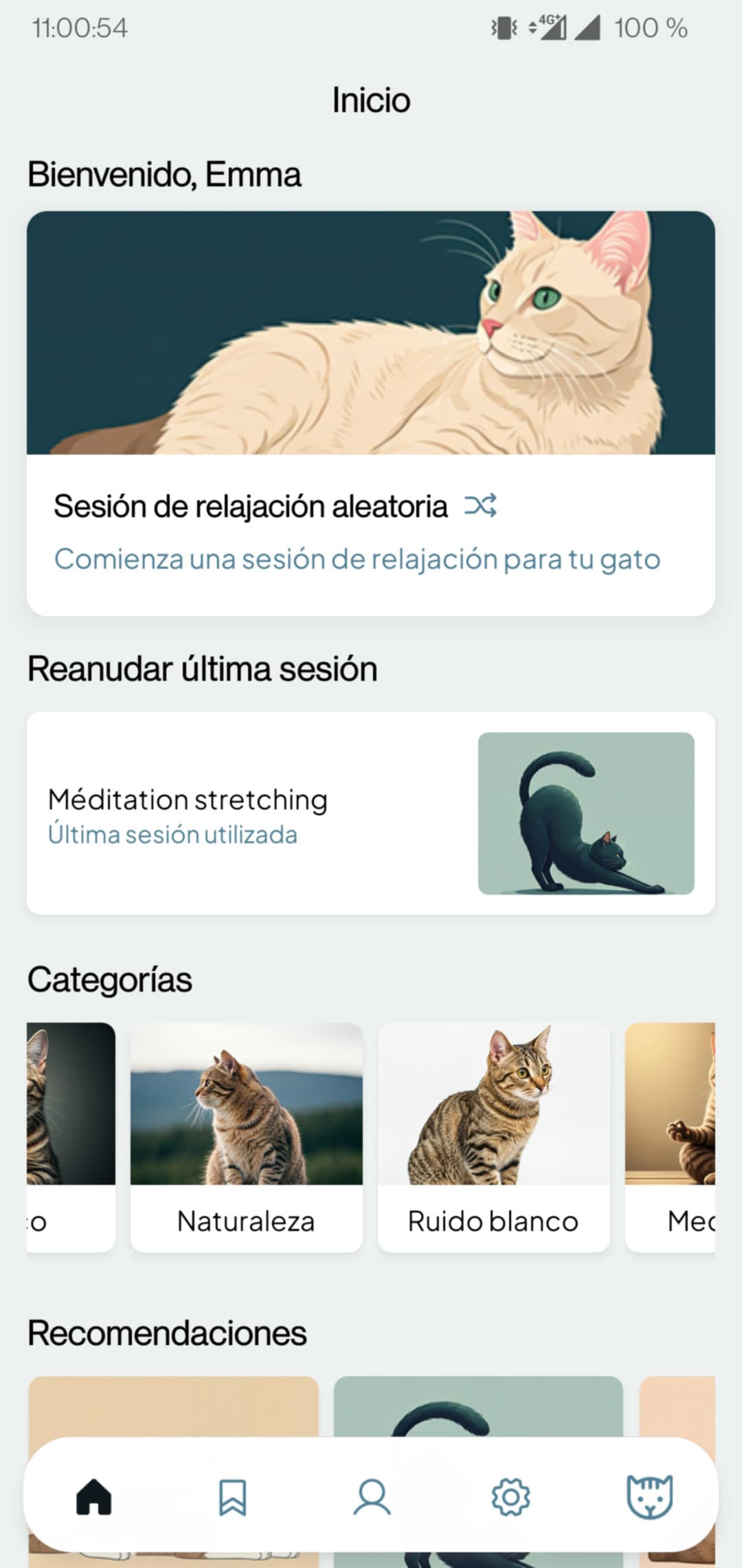 Pantalla de inicio Calm Cat