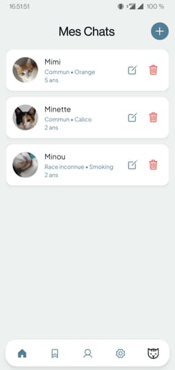 My Cats